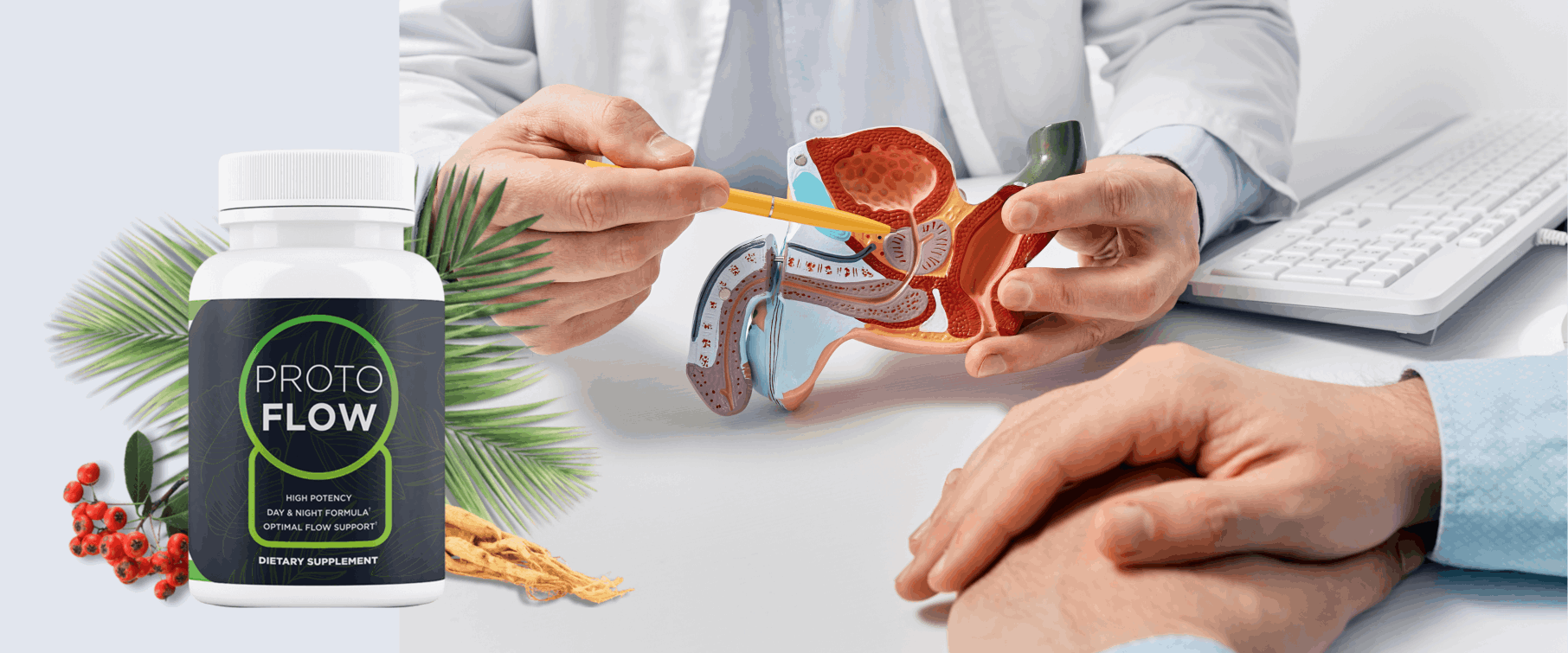 Protoflow Supplement